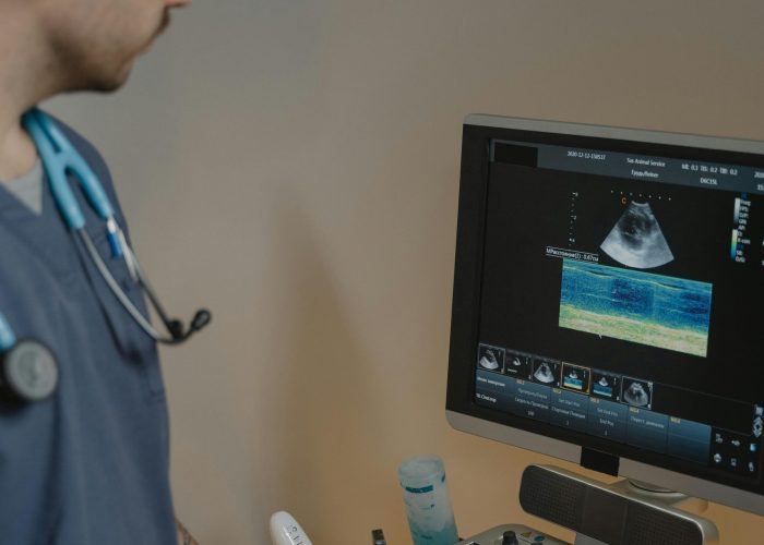 A male veterinarian examines an animal using an ultrasound machine in a clinical setting.